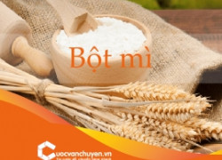 Thủ Tục Nhập Khẩu Bột Mì